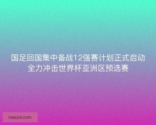 国足回国集中备战12强赛计划正式启动全力冲击世界杯亚洲区预选赛