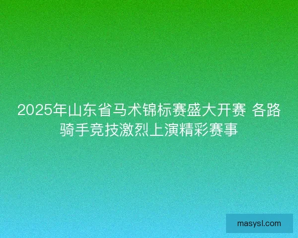 2025年山东省马术锦标赛盛大开赛 各路骑手竞技激烈上演精彩赛事